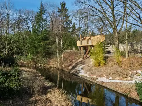 De uitkijktoren geeft je goed zicht over het gorillagebied. Foto: Apenheul