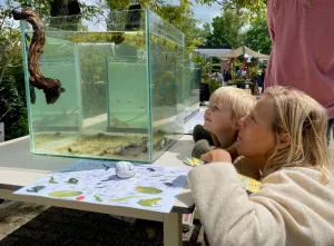 Beestjesdag Fotobeschrijving: Beestjesdag in Hortus Alkmaar. Foto: (c) Hortus Alkmaar.