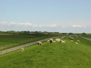 Foto: Dagje Texel.