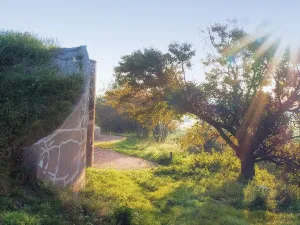 Het mooie polderlandschap rond Fort K'IJK. Foto: © Aart Jan van Mossel