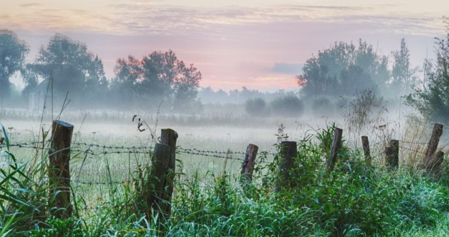 Zie hoe de natuur langzaam ontwaakt. Foto:  Flickr/Paul van de Velde   CC BY 2.0 