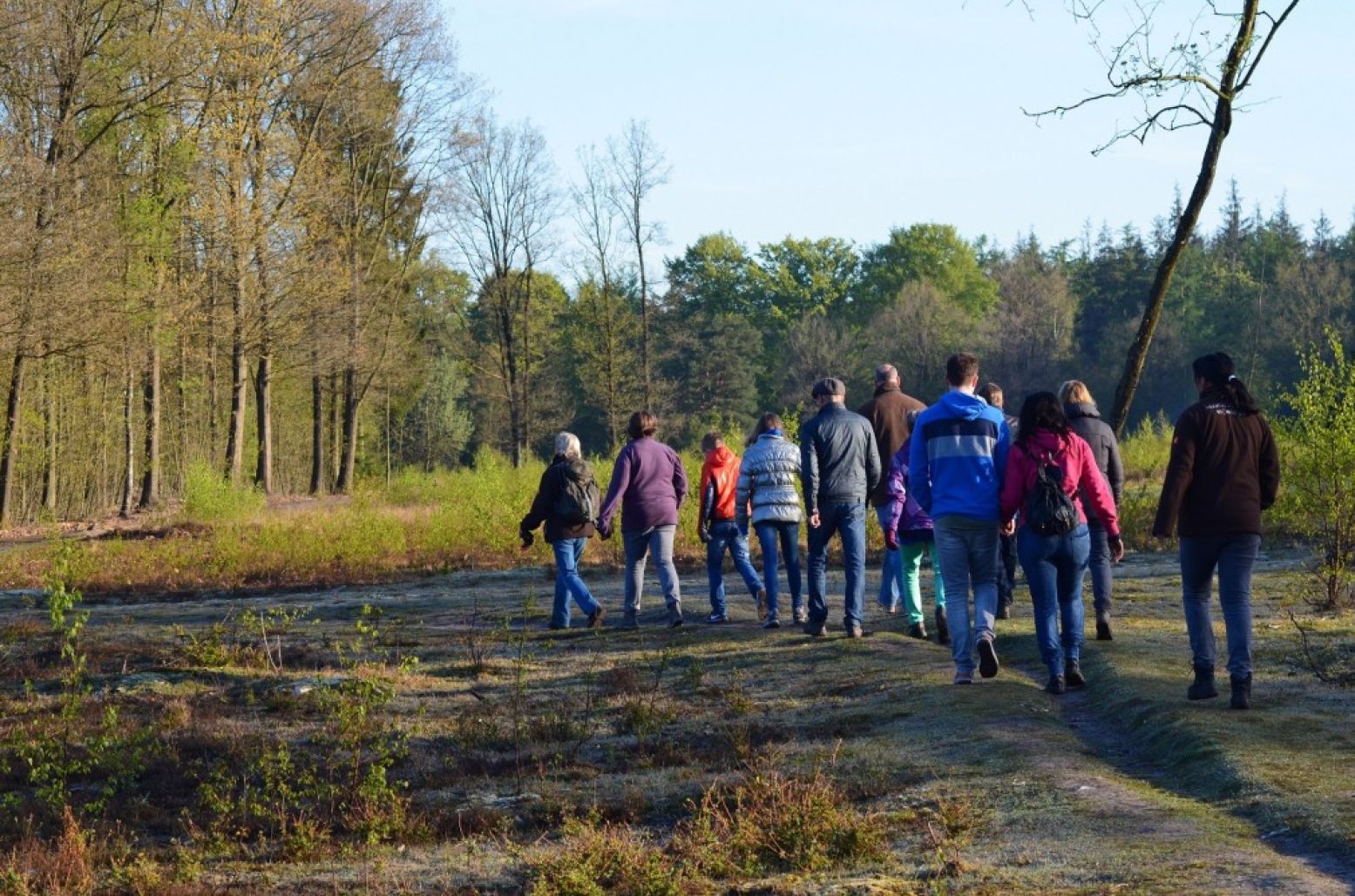 Maak een frisse wandeling door de natuur. Foto: Buitencentrum Boomkroonpad