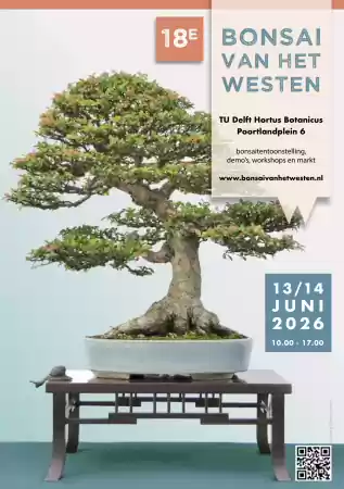 Bonsai van het Westen 2026 Fotograaf: Ramon Smit, design Manon Jamin