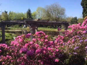 Vijvertuinen van Ada Hofman Foto: De Vijvertuinen van Ada Hofman