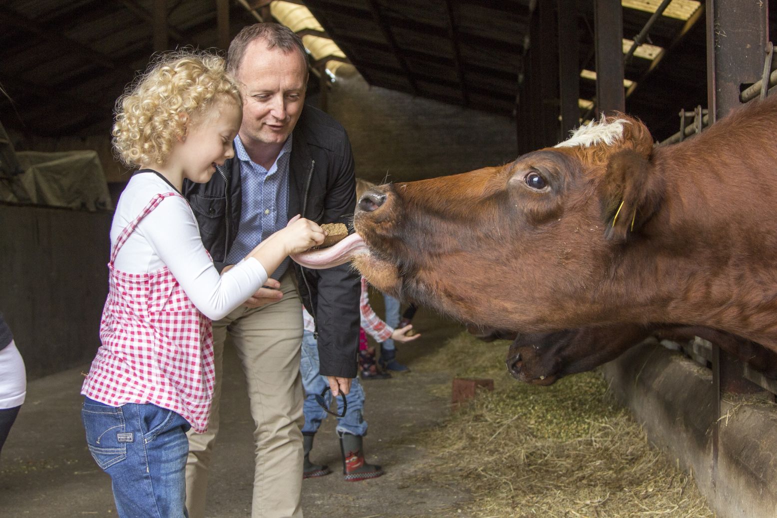 Koeien voeren en voor één dag boer zijn. Het kan op Speelboerderij de Steenuil! Foto: De Steenuil.