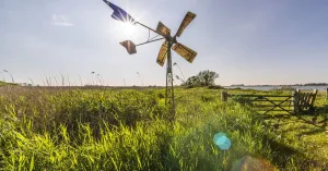 Dauwtrappen op Tiengemeten | Foto geüpload door gebruiker Natuurmonumenten.