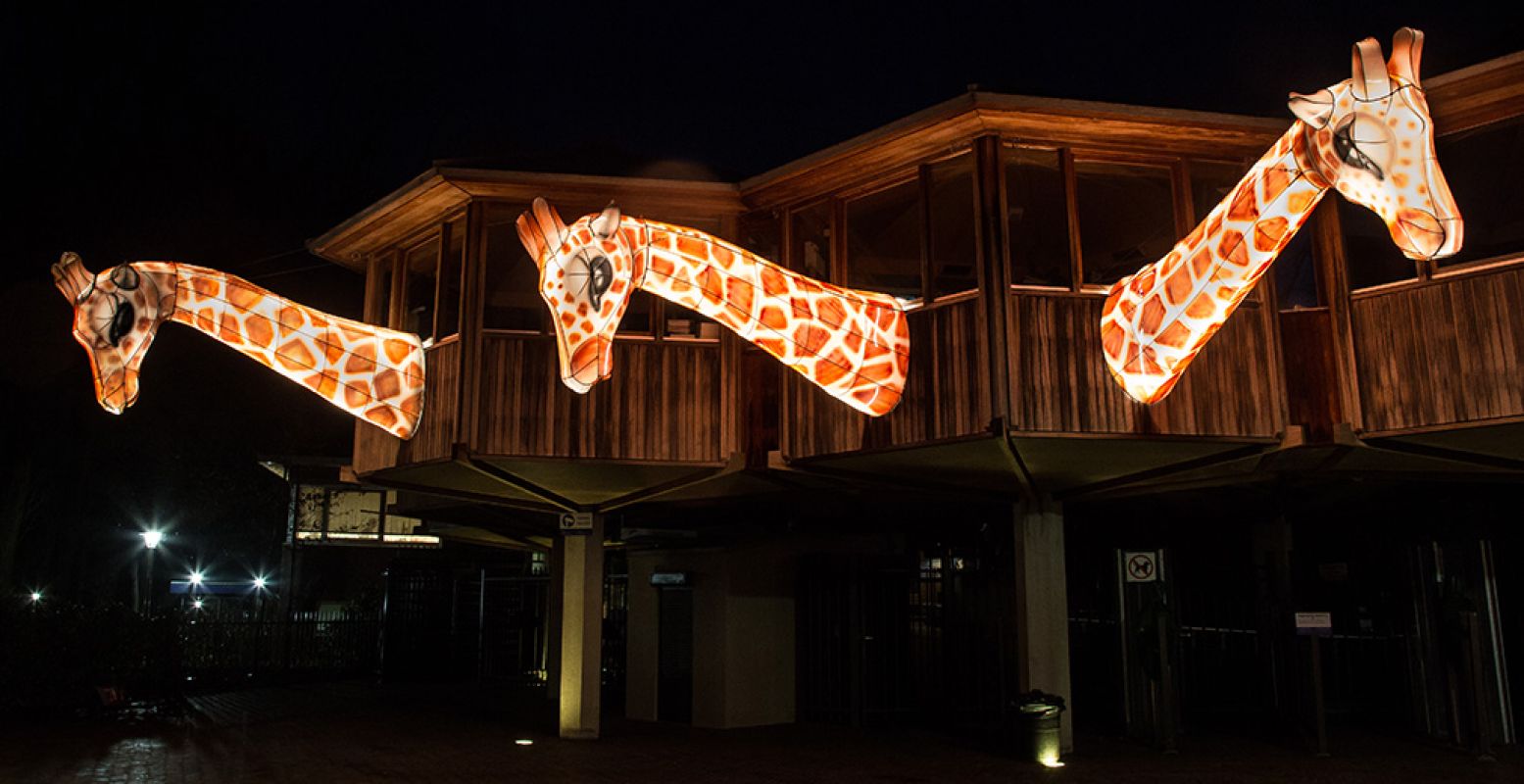 Burgers' Light is van 23 februari tot en met 9 maart 2019 te beleven in de dierentuin in Arnhem. Foto: Burgers' Zoo.