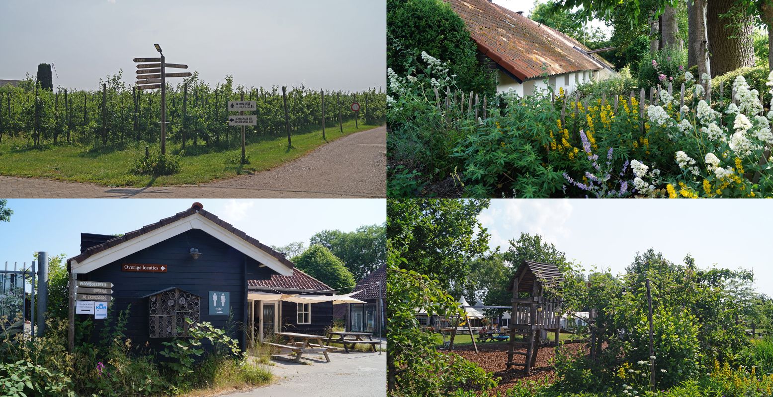 Onderweg maken we een tussenstop het biologische fruitbedrijf De Olmenhorst. Foto: DagjeWeg.NL