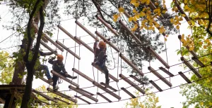 Spring 16 meter omlaag in Klimbos Harderwijk Overal kom je spannende obstakels tegen, zoals een stukje klimmuur hoog in de lucht. Foto: Klimbos Harderwijk