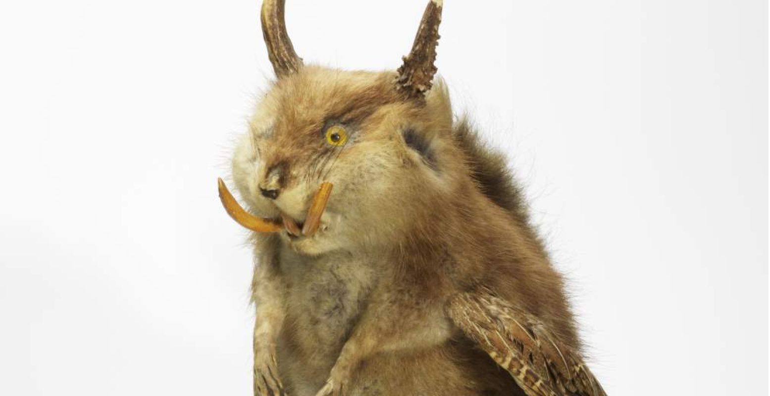 Ook de Wolpertinger is een mytisch beest, uit Duitsland en gemaakt van lichaamsdelen van andere dieren. Foto: Teylers Museum