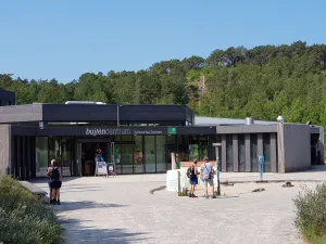 Wandelen door de Schoorlse Duinen