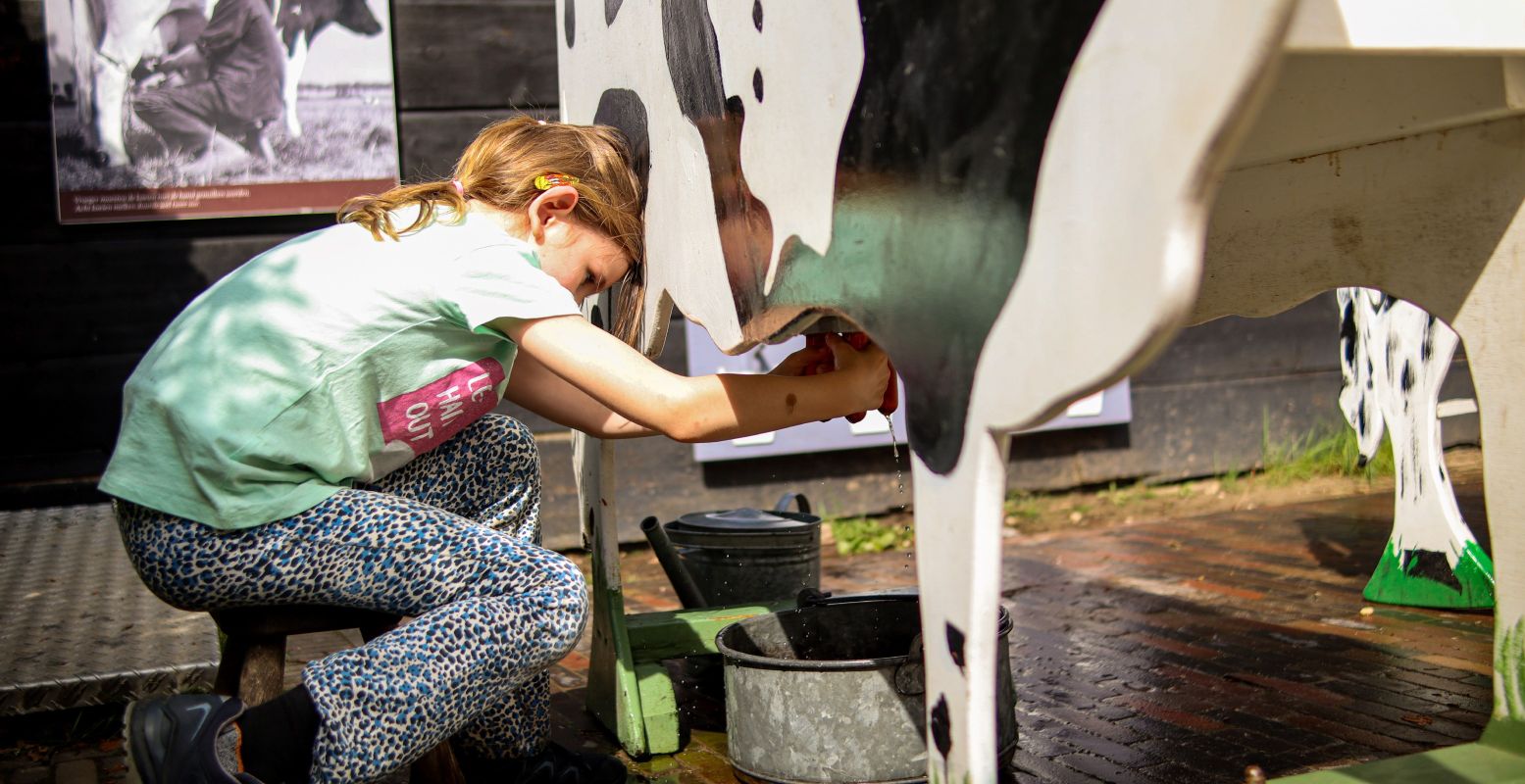 Leer hoe je melk uit een koe krijgt op het Kindererf van het Nederlands Openluchtmuseum. Foto: Nederlands Openluchtmuseum Leer hoe je melk uit een koe krijgt op het Kindererf van het Nederlands Openluchtmuseum. Foto: Nederlands Openluchtmuseum