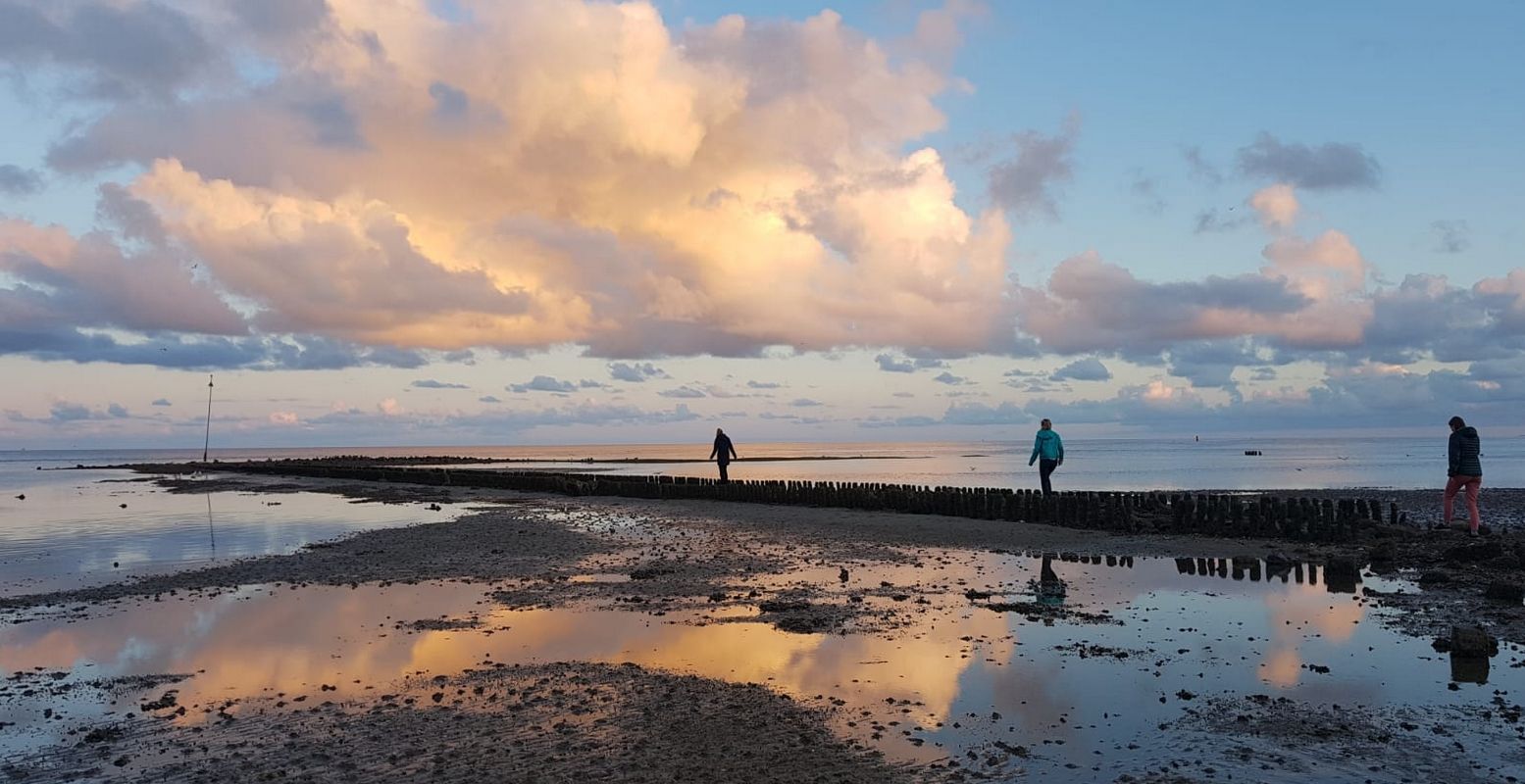 Vakantie in eigen land: eilandhoppen op de Wadden. Foto: Nikki Arendse