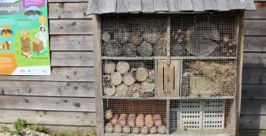 Doe een dagje duurzaam! Duurzaam en makkelijk om zelf te maken: een insectenhotel! Foto: DagjeWeg.NL.