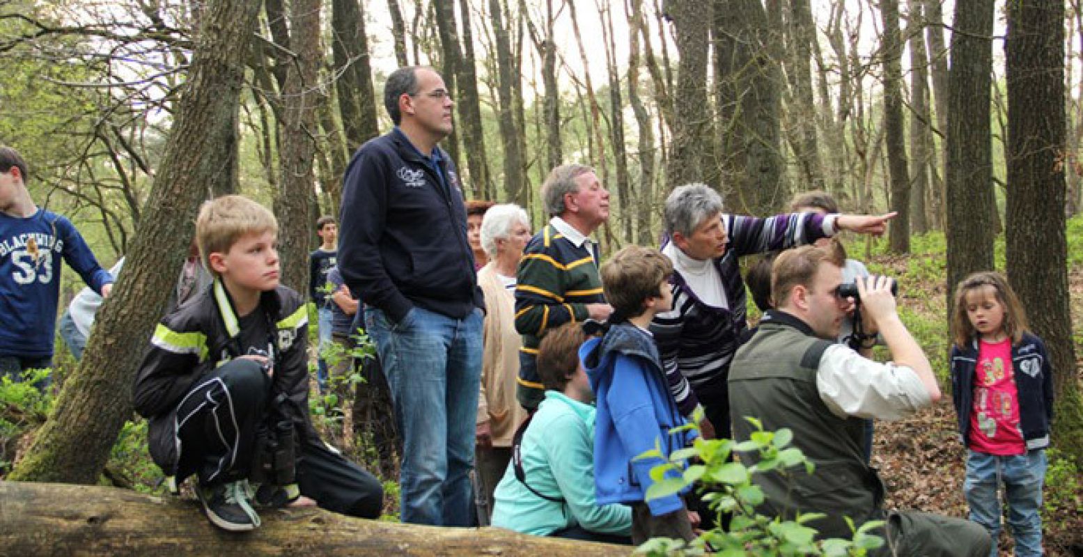 Zie jij al wat? Foto: Staatsbosbeheer