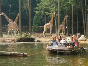 Foto: DierenPark Amersfoort.