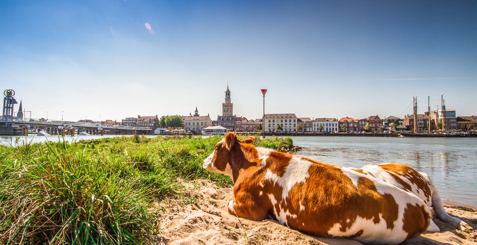 Ontdek de mooie Overijsselse Hanzesteden, zoals Kampen. En vier het Hanzejaar mee. Foto: MarketingOost © Bertrik Hakvoort