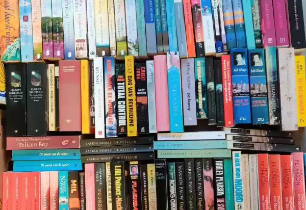 Boekenmarkt Oostwold Boeken. Foto: Ruth Drewel