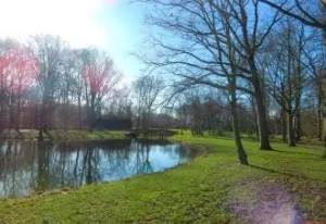 Recreatie in het groene park. Foto: Jeanine