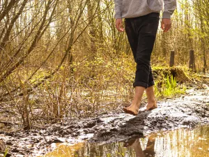 Op blote voeten door het moeras. Foto: Landgoed Buitenpost