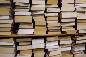 Boekenmarkt Oostwold Boeken. Foto: Ruth Drewel