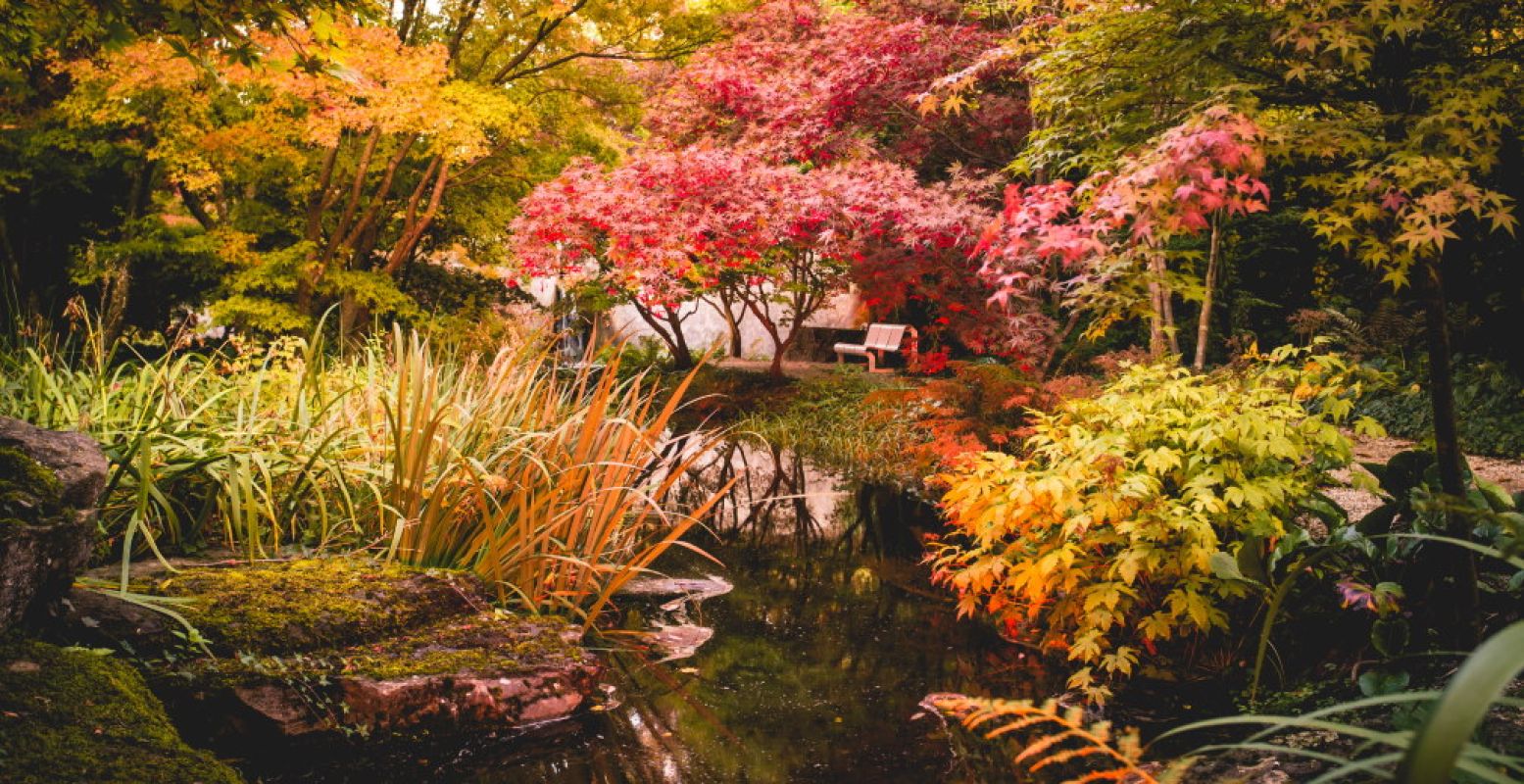 Kasteeltuinen Arcen heeft veel thematuinen met leuke activiteiten voor het hele gezin. Bewonder ook de Acertuin vol Japanse esdoorns. Foto: Kasteeltuinen Arcen.