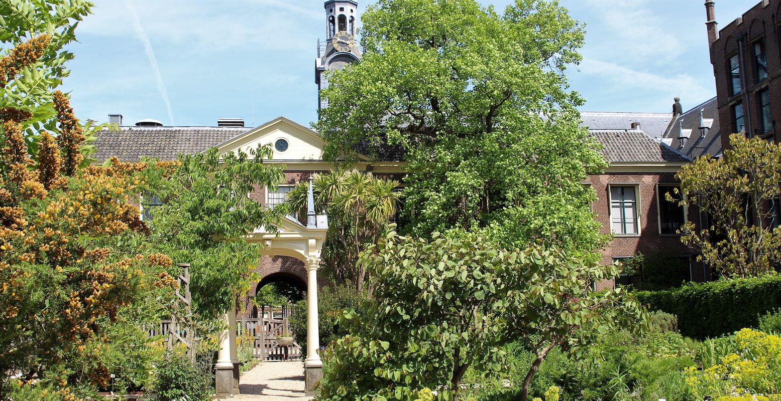 Een prachtige trouwlocatie: Hortus Botanicus Leiden. Foto: Redactie DagjeWeg.NL