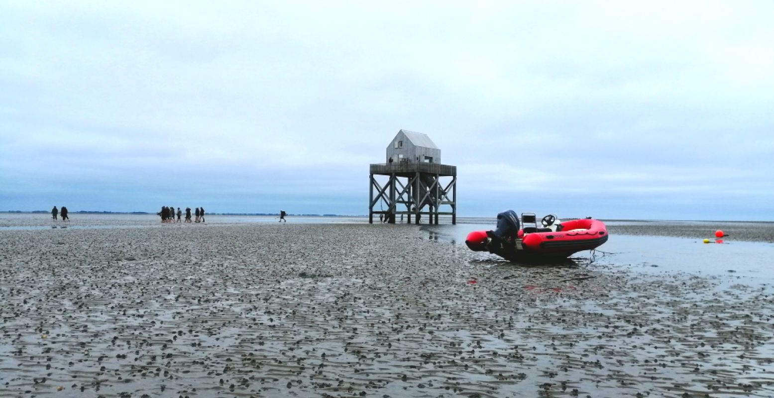 Zeehonden spotten en zandplaten trotseren op Schier