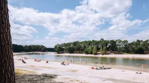 Zwem rondom het eiland van het Henschotermeer