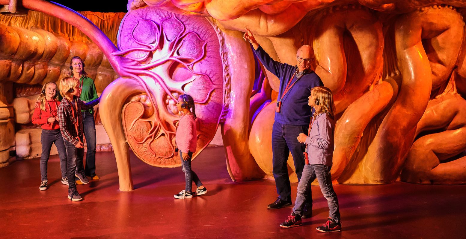 Corpus: een immersive experience voor het hele gezin. Foto: CORPUS