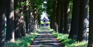 Must-sees tijdens een dagje uit in Soest Er is zoveel te bewonderen in Soest! Foto: DagjeWeg.NL, Coby Boschma.