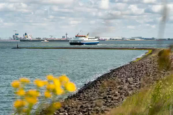 Westerschelde Ferry. Foto: Marcel Vervuurt