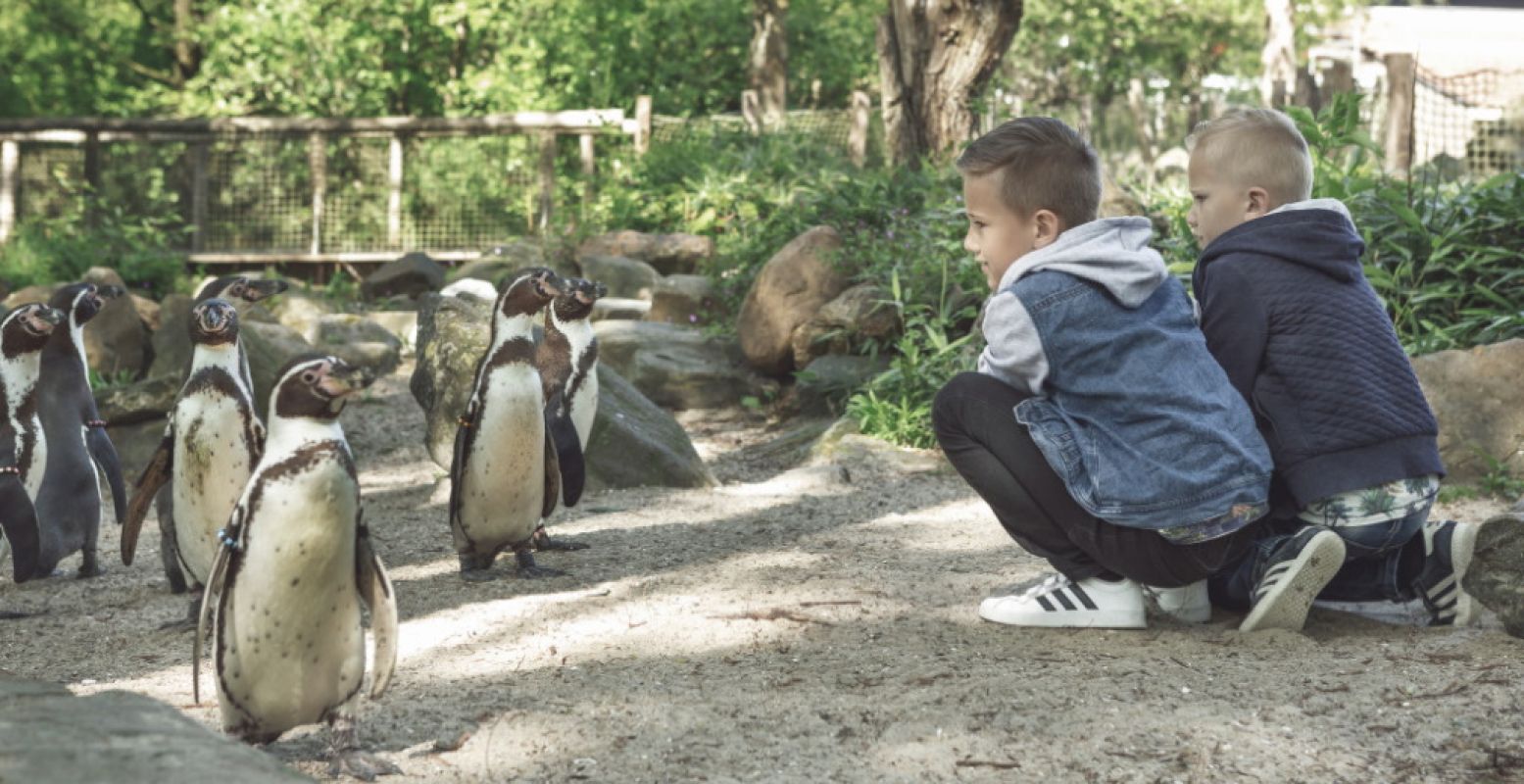 Kinderen vermaken zich in AquaZoo Leeuwarden terwijl hun ouders kunnen werken tijdens de dagen van de Onderwijsstaking. Foto: © AquaZoo Leeuwarden.