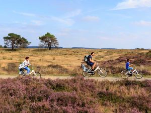 Het Nationale Park De Hoge Veluwe