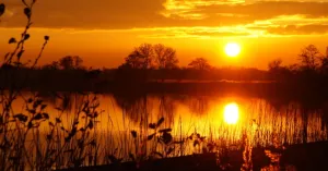 Varen op het Naardermeer in avondschemering Varen op het Naardermeer in avondschemeringFoto geüpload door gebruiker Natuurmonumenten.