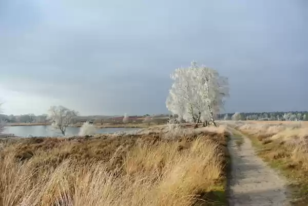Foto: Limburgs Landschap Gouda | Foto geüpload door gebruiker limburgslandschap Foto: Limburgs Landschap Gouda | Foto geüpload door gebruiker limburgslandschap
