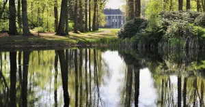 Van stuwwal tot parkbos in ‘s-Graveland Van stuwwal tot parkbos in ‘s-Graveland | Foto geüpload door gebruiker Natuurmonumenten.