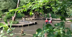 Hittegolf! Dit kun je doen om de warmte te ontlopen Ontsnap aan de hitte in een natuurspeeltuin vol water, zoals De Speeldernis. Foto: Natuurspeeltuin De Speeldernis