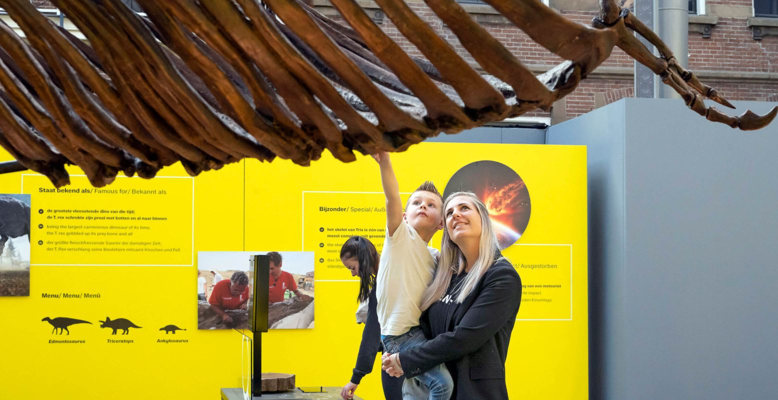 Kom alles te weten over de gigantische Tyrannosaurus Rex. Foto: Natuurmuseum Fryslân © Marcel van Kammen