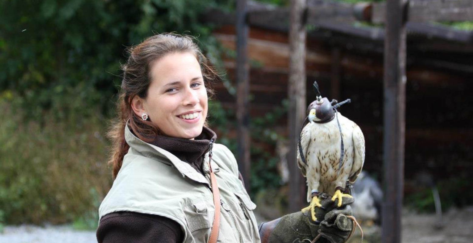 Bewonder de grote vogels van heel dichtbij! Foto: Valkerij Falconcrest