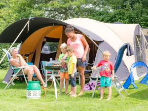 Kamperen omgeven door water en groen. Foto: Camping Meerwijck