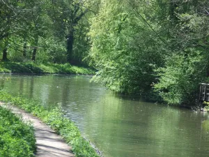 Langs de Kromme Rijn Foto geüpload door gebruiker Waterlinie Evenement