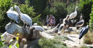 Vier meivakantie in de dierentuin! Geniet van de dieren in DierenPark Amersfoort. Foto: DierenPark Amersfoort.