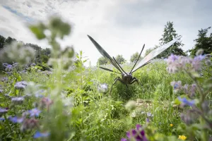 Foto: Natura Docet Foto: Natura Docet