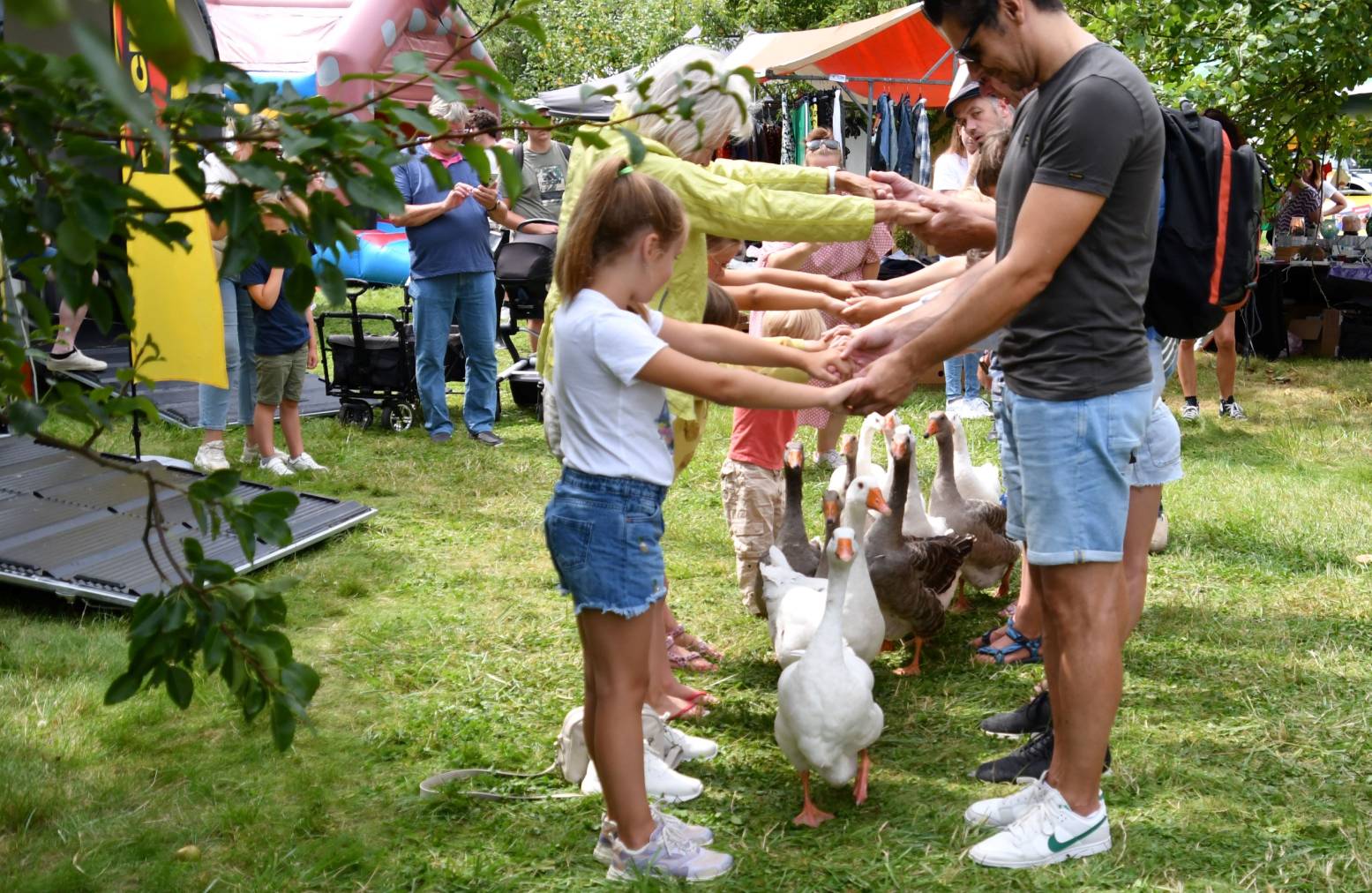 In het weekend zie je niet alleen paarden, maar ook een groep ganzen. Foto: Jumpin' de Weel © Joke Schipper In het weekend zie je niet alleen paarden, maar ook een groep ganzen. Foto: Jumpin' de Weel © Joke Schipper