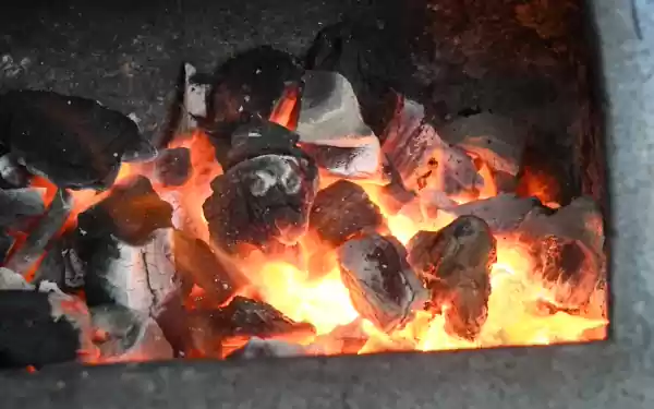 Fotogtaaf: Jacob Westra Fotogtaaf: Jacob Westra