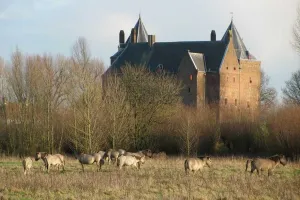 Struintocht Munnikenland Foto geüpload door gebruiker Stichting Liniebreed Ondernemen.