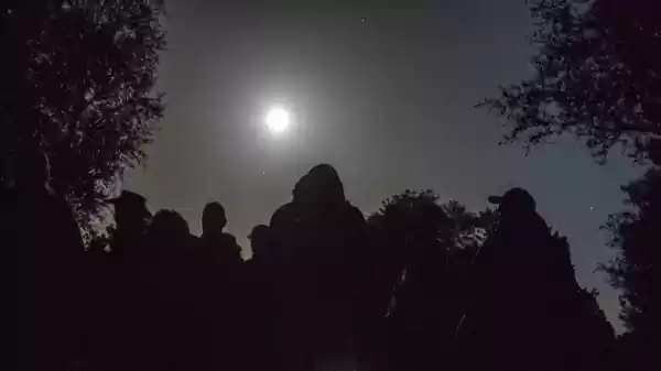 Nacht van de Nacht Engbertsdijksvenen Vollemaanwandeling met gids | Foto ge&uuml;pload door gebruiker Staatsbosbeheer.