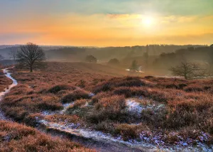 Verken de schitterende Veluwe. Foto: Polysport.