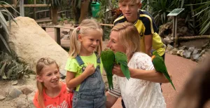 Breng Pasen door tussen de dieren